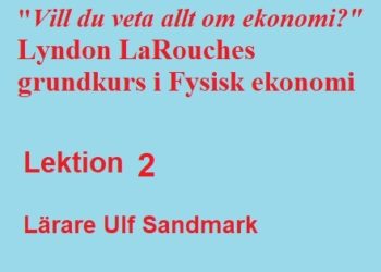 Grundkurs i Fysisk ekonomi: Lektion 2